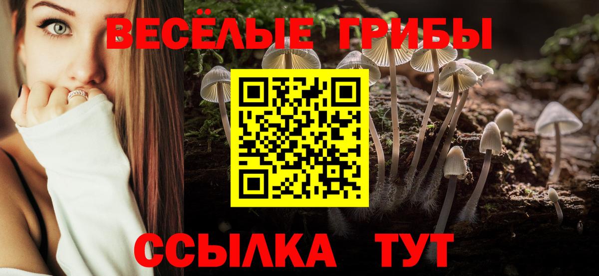 Псилоцибиновые грибы мицелий Кунгур